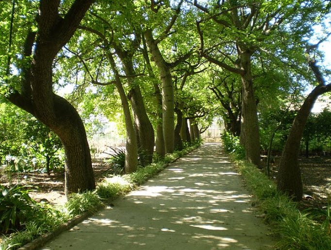Giardino Montano Per la Conservazione Della Biodiversità "Ruggero Tomaselli", Italy